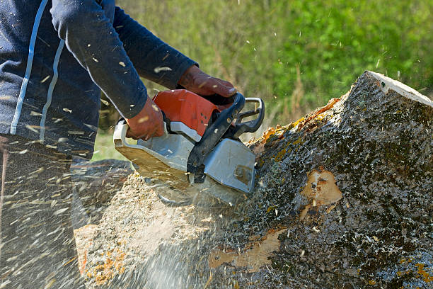 Landscape Design and Installation in West Point, VA
